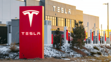 tesla-shares-rise-11%:-plans-to-begin-producing-new-affordable-cars