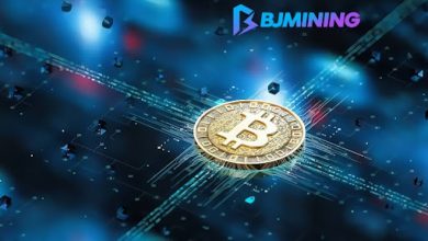 earn-$8,450-a-day!-a-guide-for-bitcoin-holders-to-earn-income-on-bjmining