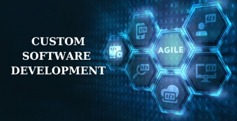 custom-software-development:-a-strategic-investment-for-business-growth