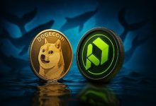 dogecoin-whales-accumulate-more-doge-and-pdp-as-traders-find-the-next-best-altcoin-to-buy