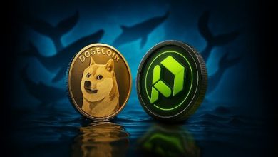 dogecoin-whales-accumulate-more-doge-and-pdp-as-traders-find-the-next-best-altcoin-to-buy